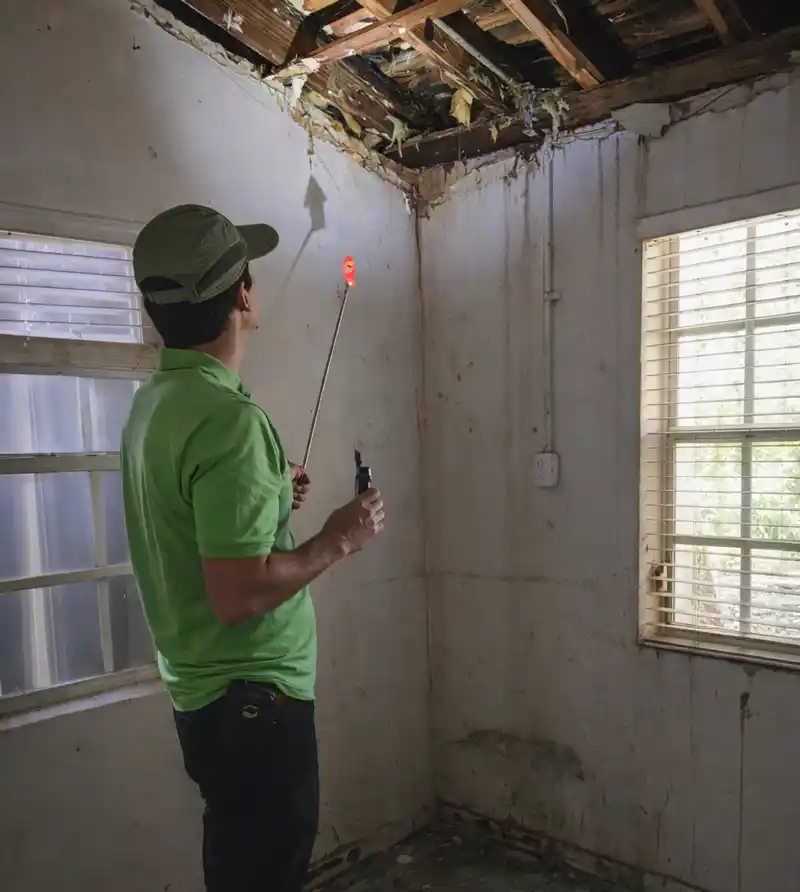 mold inspection in Miami
